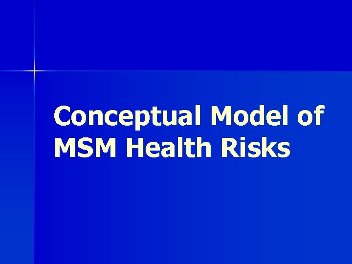 Conceptual Model of MSM Health Risks 