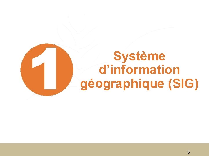 1 Système d’information géographique (SIG) 5 