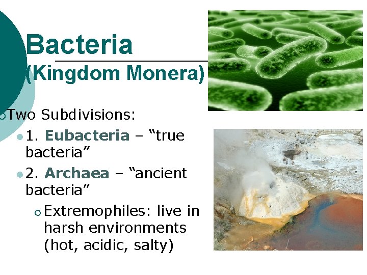 Bacteria (Kingdom Monera) ¡ Two Subdivisions: l 1. Eubacteria – “true bacteria” l 2.