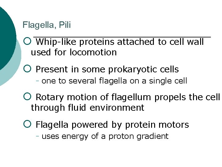 Flagella, Pili ¡ Whip-like proteins attached to cell wall used for locomotion ¡ Present