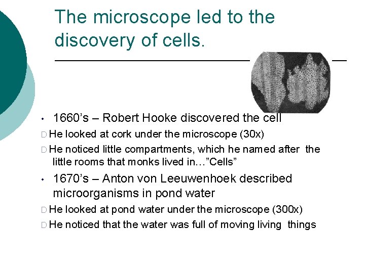 The microscope led to the discovery of cells. • 1660’s – Robert Hooke discovered