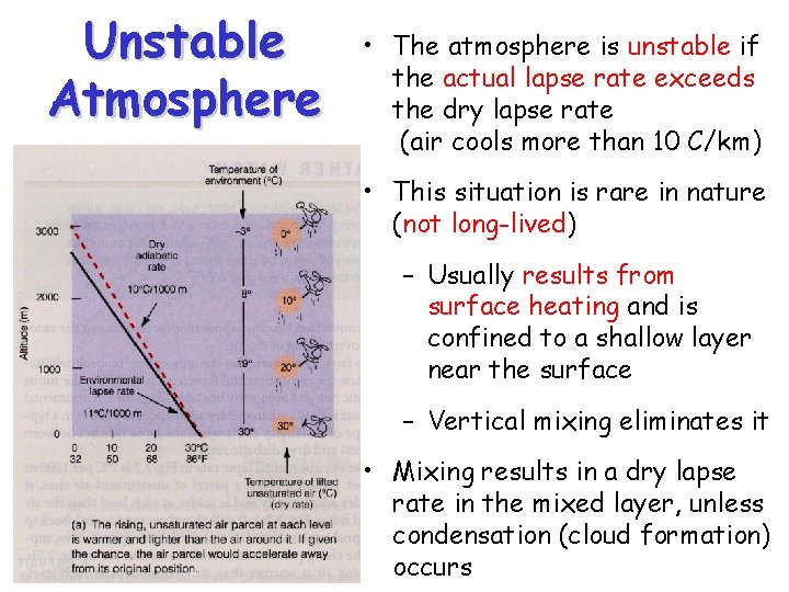 Unstable Atmosphere • The atmosphere is unstable if the actual lapse rate exceeds the