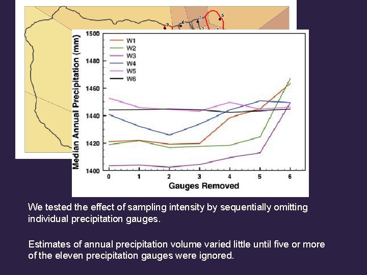 We tested the effect of sampling intensity by sequentially omitting individual precipitation gauges. Estimates