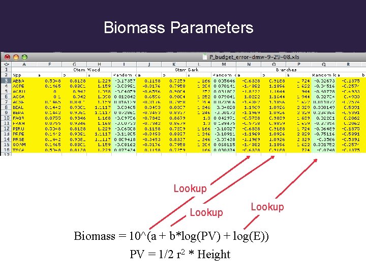 Biomass Parameters Lookup Biomass = 10^(a + b*log(PV) + log(E)) PV = 1/2 r