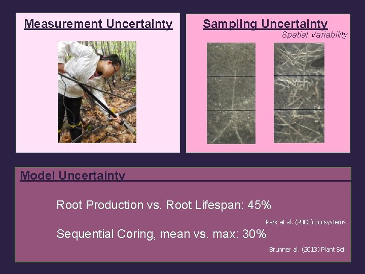 Measurement Uncertainty Sampling Uncertainty Spatial Variability ? Model Uncertainty Root Production vs. Root Lifespan: