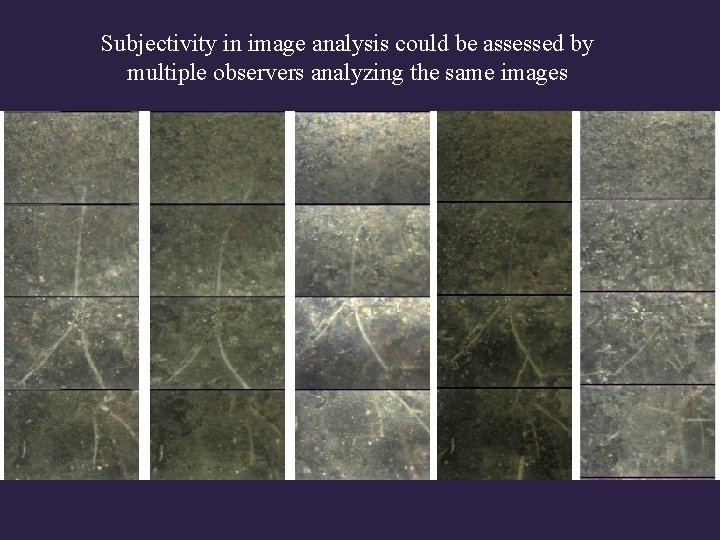 Subjectivity in image analysis could be assessed by multiple observers analyzing the same images