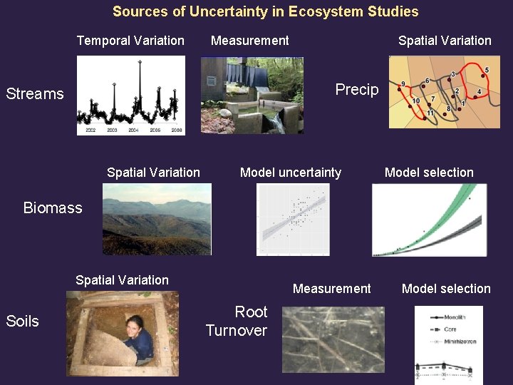 Sources of Uncertainty in Ecosystem Studies Temporal Variation Measurement Spatial Variation Precip Streams Spatial