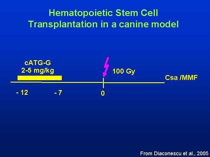 Hematopoietic Stem Cell Transplantation in a canine model c. ATG-G 2 -5 mg/kg -