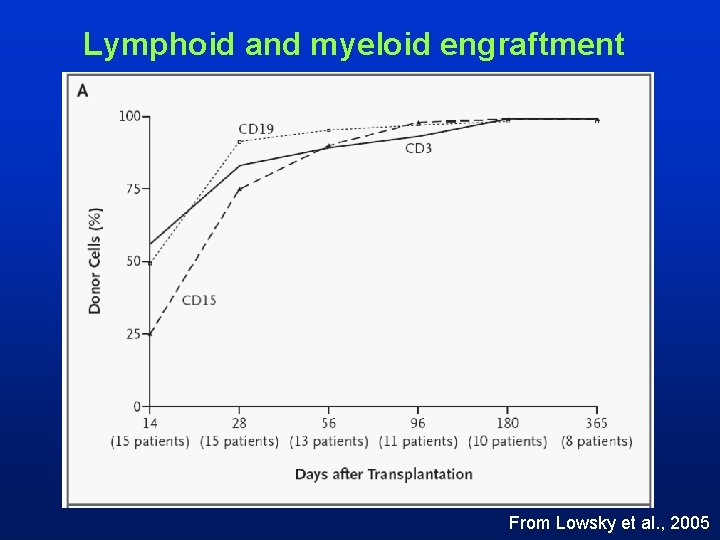 Lymphoid and myeloid engraftment From Lowsky et al. , 2005 