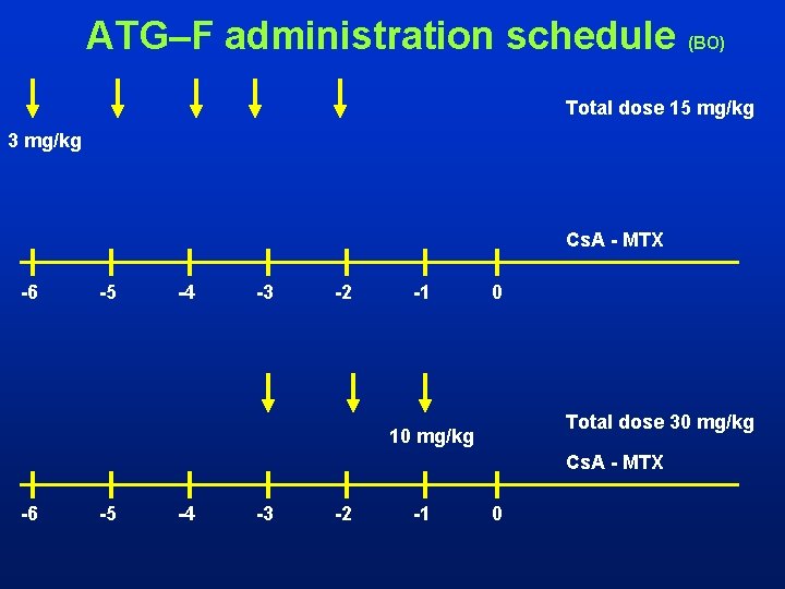 ATG–F administration schedule (BO) Total dose 15 mg/kg 3 mg/kg Cs. A - MTX