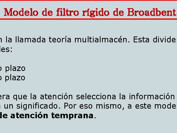 Modelo de filtro rígido de Broadbent n la llamada teoría multialmacén. Esta divide les: