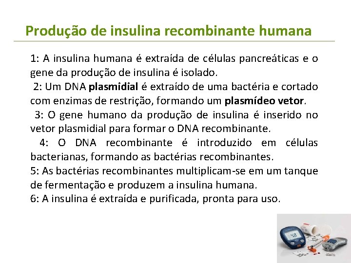 Produção de insulina recombinante humana 1: A insulina humana é extraída de células pancreáticas