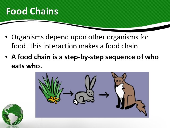 Food Chains • Organisms depend upon other organisms for food. This interaction makes a