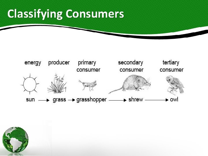 Classifying Consumers 