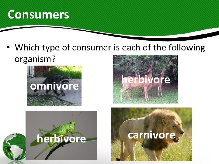 Consumers • Which type of consumer is each of the following organism? omnivore herbivore