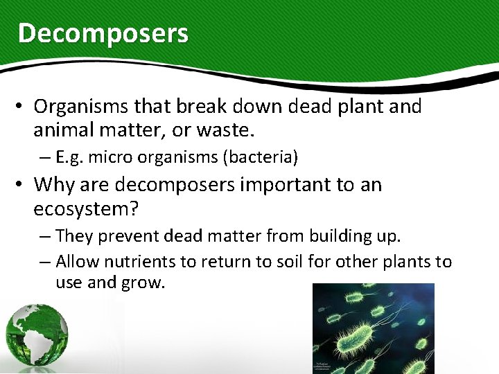 Decomposers • Organisms that break down dead plant and animal matter, or waste. –