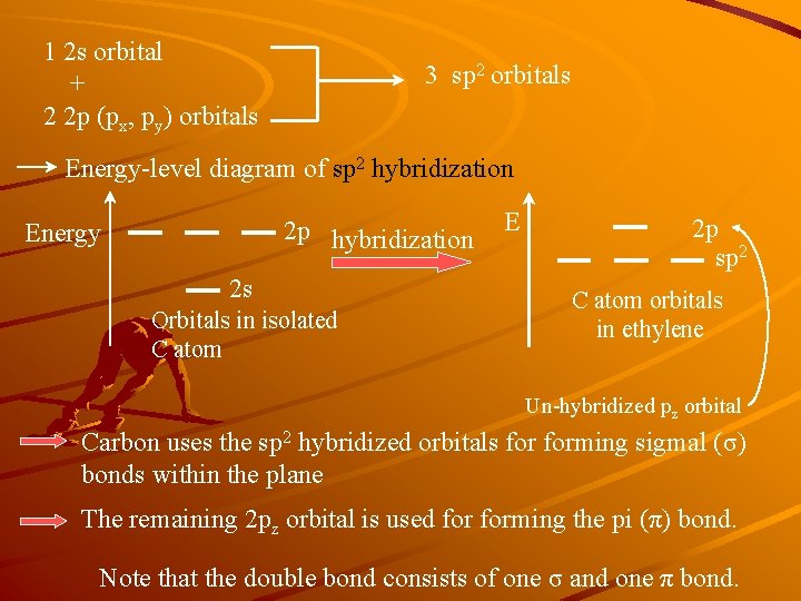 1 2 s orbital + 2 2 p (px, py) orbitals 3 sp 2