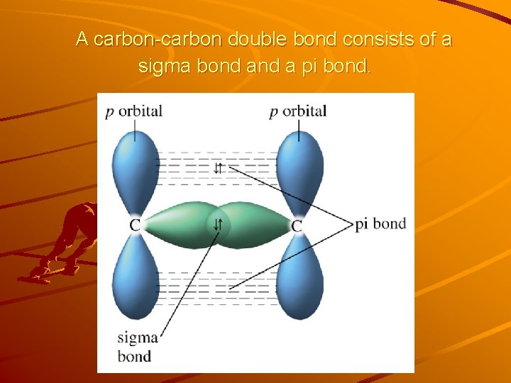 A carbon-carbon double bond consists of a sigma bond a pi bond. 