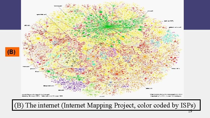 (B) The internet (Internet Mapping Project, color coded by ISPs) 19 