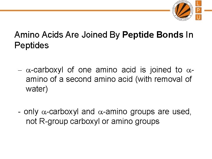 Amino Acids Are Joined By Peptide Bonds In Peptides - a-carboxyl of one amino