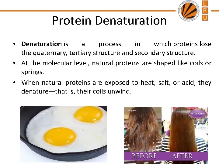 Protein Denaturation • Denaturation is a process in which proteins lose the quaternary, tertiary