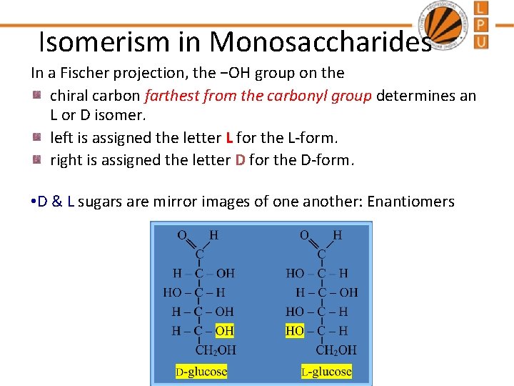 Isomerism in Monosaccharides In a Fischer projection, the −OH group on the chiral carbon
