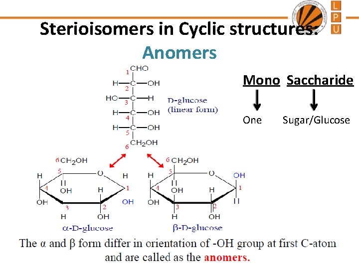 Sterioisomers in Cyclic structures: Anomers Mono Saccharide One Sugar/Glucose 
