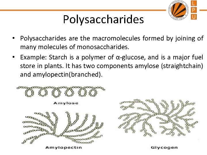 Polysaccharides • Polysaccharides are the macromolecules formed by joining of many molecules of monosaccharides.