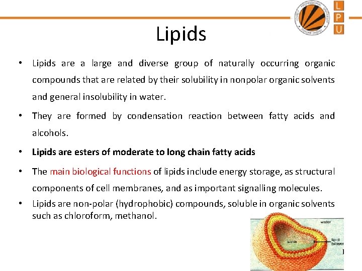 Lipids • Lipids are a large and diverse group of naturally occurring organic compounds