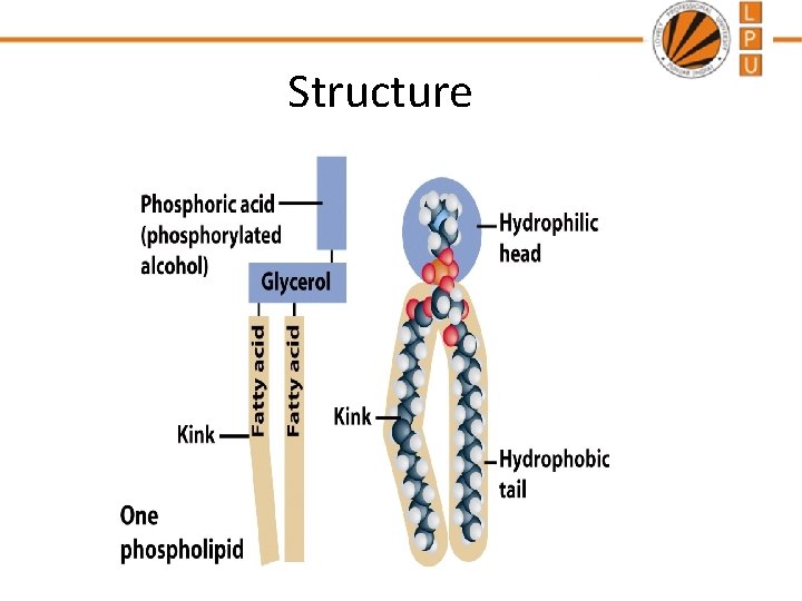 Structure 