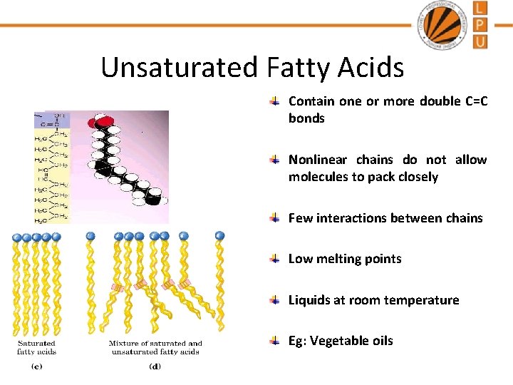 Unsaturated Fatty Acids Contain one or more double C=C bonds Nonlinear chains do not
