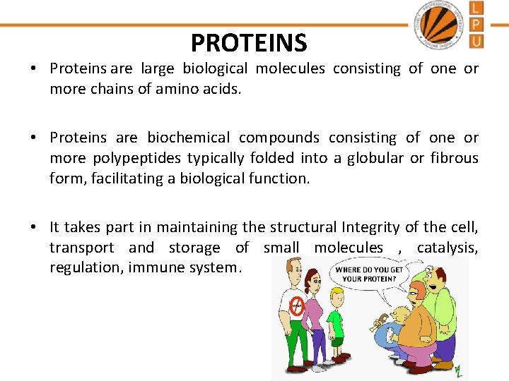 PROTEINS • Proteins are large biological molecules consisting of one or more chains of