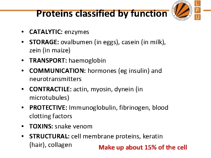 Proteins classified by function • CATALYTIC: enzymes • STORAGE: ovalbumen (in eggs), casein (in