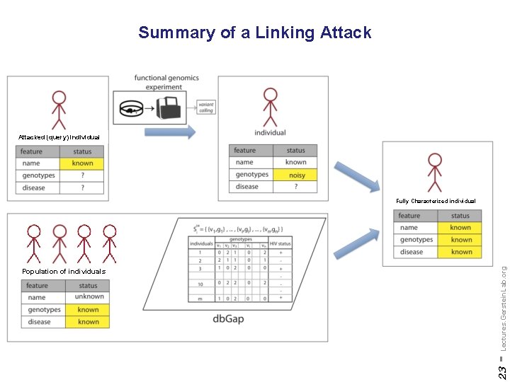 Summary of a Linking Attacked (query) individual 23 Population of individuals - Lectures. Gerstein.