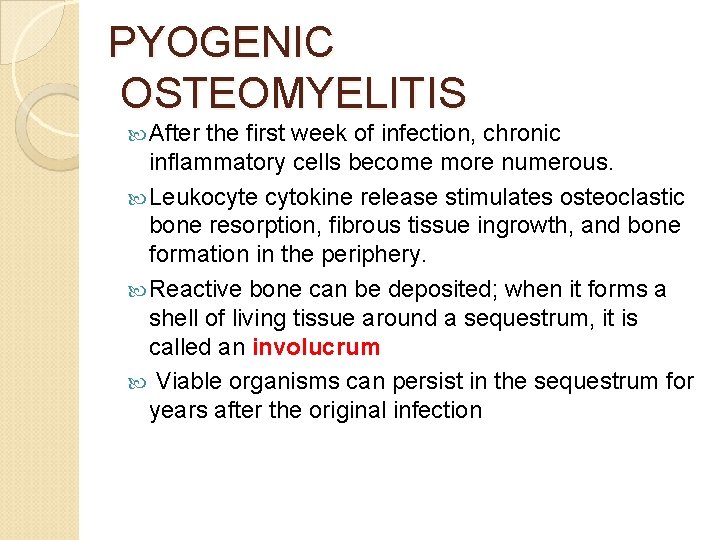PYOGENIC OSTEOMYELITIS After the first week of infection, chronic inflammatory cells become more numerous.