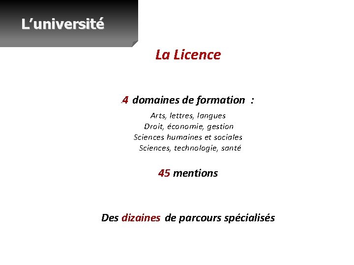 L’université La Licence 4 domaines de formation : Arts, lettres, langues Droit, économie, gestion
