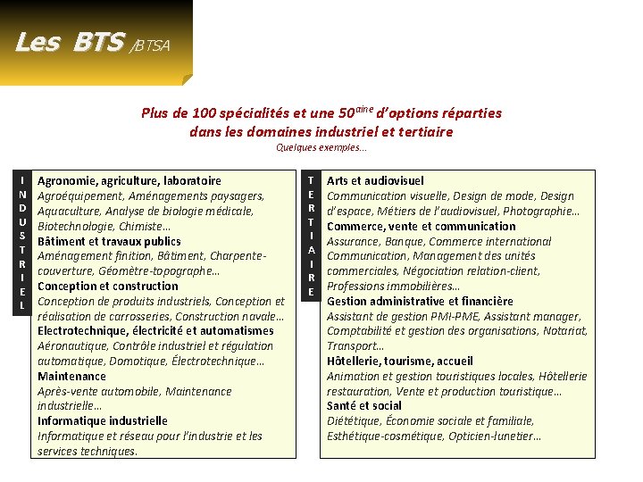 Les BTS /BTSA Plus de 100 spécialités et une 50 aine d’options réparties dans