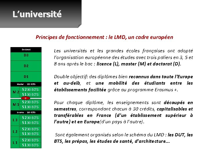 L’université Principes de fonctionnement : le LMD, un cadre européen Doctorat D 3 D