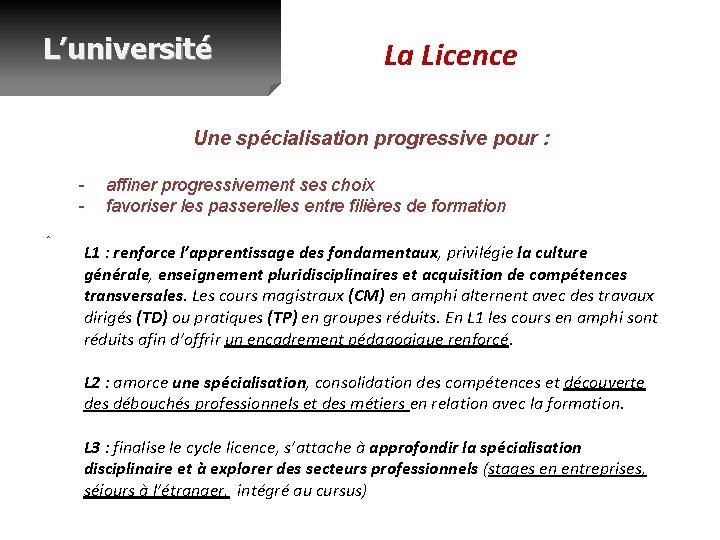 L’université La Licence Une spécialisation progressive pour : - affiner progressivement ses choix favoriser