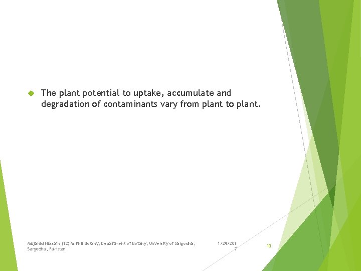  The plant potential to uptake, accumulate and degradation of contaminants vary from plant