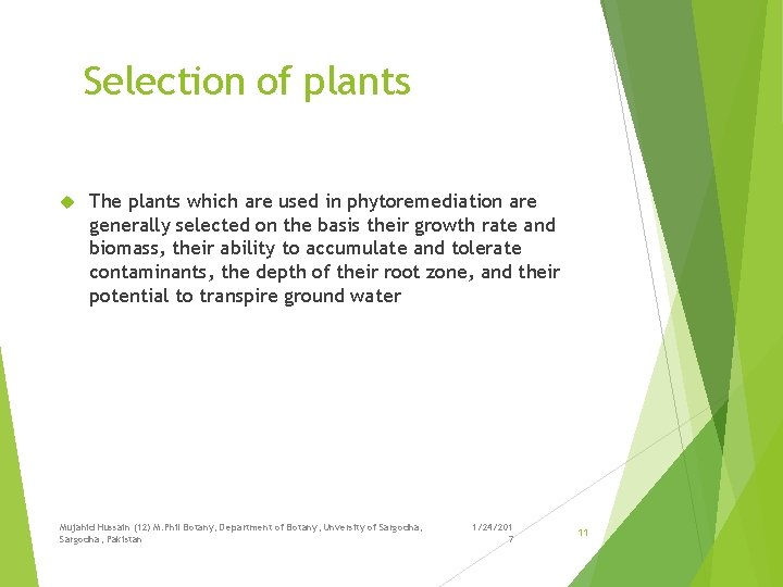Selection of plants The plants which are used in phytoremediation are generally selected on