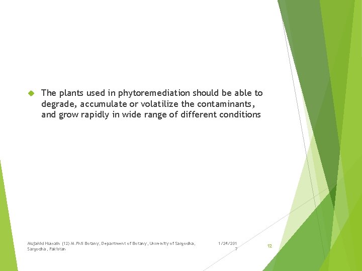  The plants used in phytoremediation should be able to degrade, accumulate or volatilize