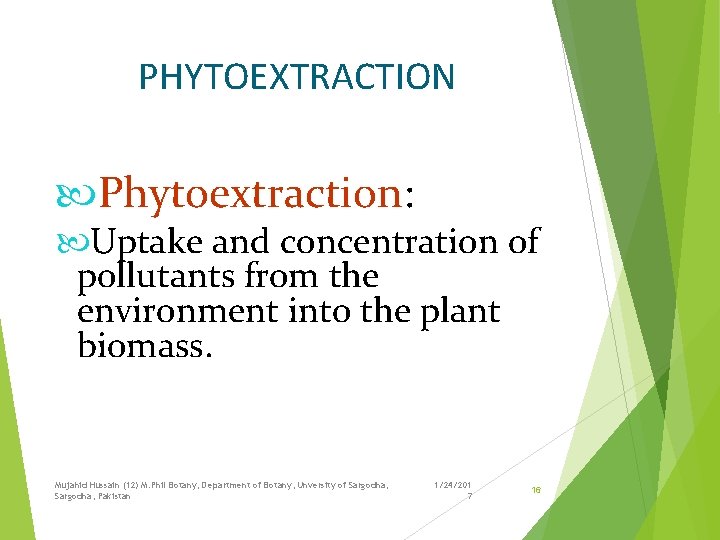 PHYTOEXTRACTION Phytoextraction: Uptake and concentration of pollutants from the environment into the plant biomass.