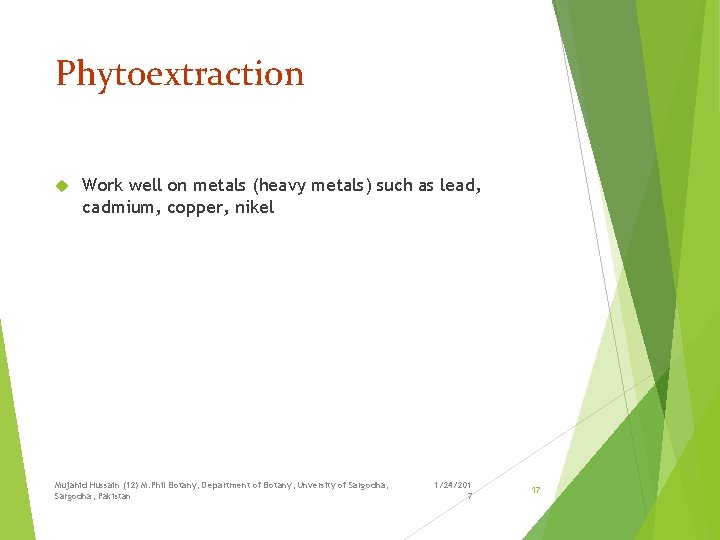 Phytoextraction Work well on metals (heavy metals) such as lead, cadmium, copper, nikel Mujahid