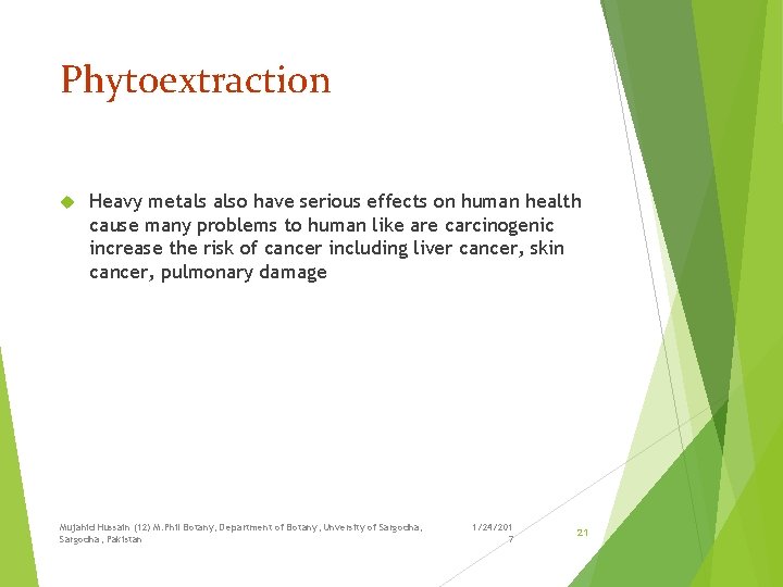 Phytoextraction Heavy metals also have serious effects on human health cause many problems to