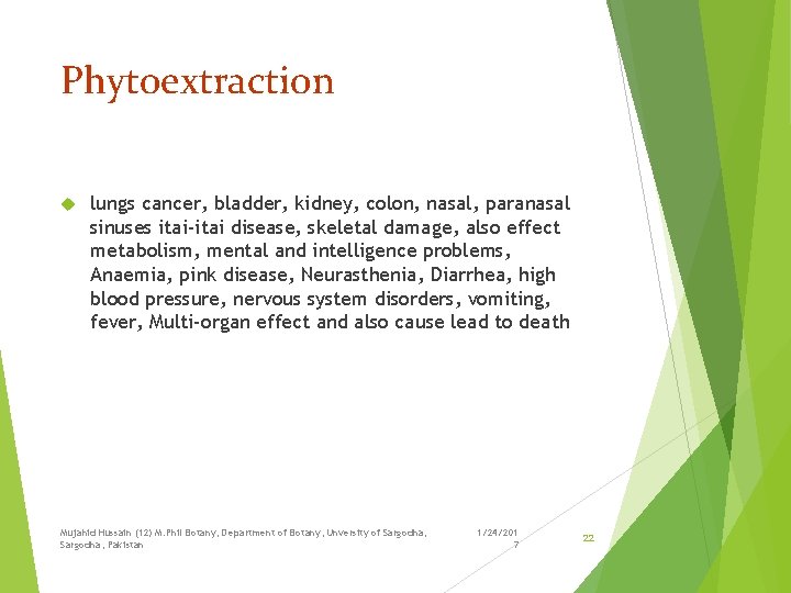 Phytoextraction lungs cancer, bladder, kidney, colon, nasal, paranasal sinuses itai-itai disease, skeletal damage, also
