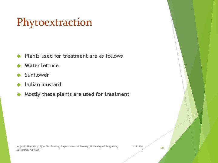 Phytoextraction Plants used for treatment are as follows Water lettuce Sunflower Indian mustard Mostly