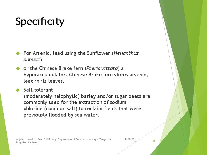 Specificity For Arsenic, lead using the Sunflower (Helianthus annuus) or the Chinese Brake fern