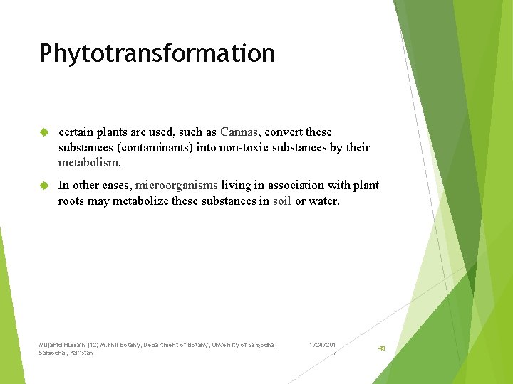 Phytotransformation certain plants are used, such as Cannas, convert these substances (contaminants) into non-toxic