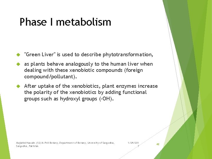 Phase I metabolism "Green Liver" is used to describe phytotransformation, as plants behave analogously